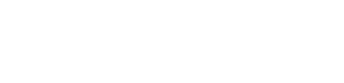 AuditFlo